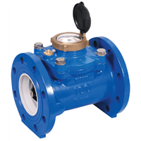 Model WSTsb Water Meter